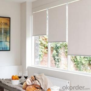 Roller Blind Motorized Waterproof Window Blinds for Offices and Homes