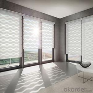 Outdoor  motorized roller blinds in many styles