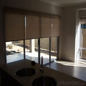 Roller Blinds Motorized Waterproof Windows Blind for Offices and Home System 1