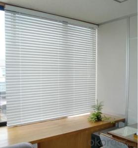 motorized roller curtain with customized size System 1