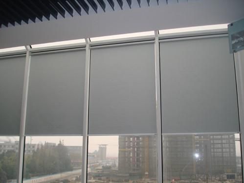 Zebra  motorized roller blinds with cheap  prices System 1