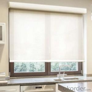 Roller Blinds and Outdoor Blinds with Automatic Device System 1