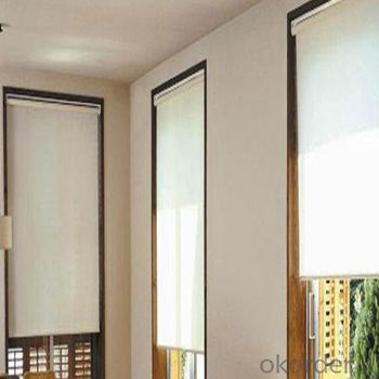 Roller Blinds and Outdoor Blind with Automatic Devices System 1