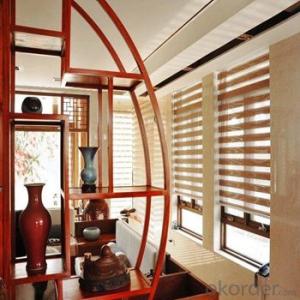 Roller Blinds and Window Blind with Automatic Design
