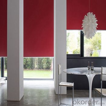 Roller Blind and Zebra Blinds with Automatic Design System 1