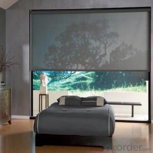 Roller Blinds and Solar Blinds with Automatic Design System 1