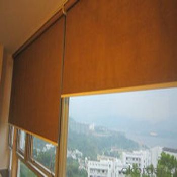 Roller Blind Motorized Zebra Window Blinds System 1