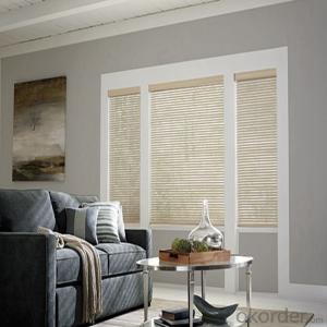 Electric Motor Sunscreen curtains for the living  room