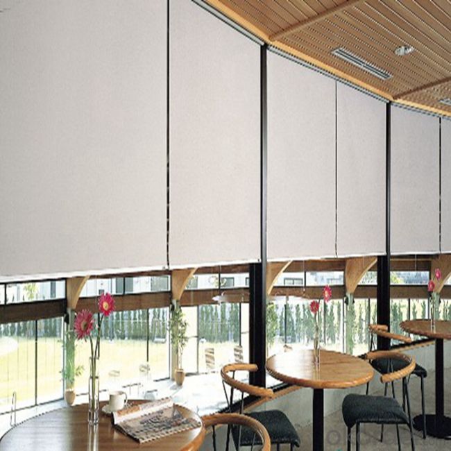 Outdoor Plastic Clear Vertical Roller Blinds - Buy Blinds, Shades ...