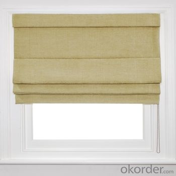 Roller Blinds and Solar Blinds Electric Outdoor Blinds System 1