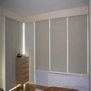 Roller Blinds and Zebra Blind with Automatic Designs System 1