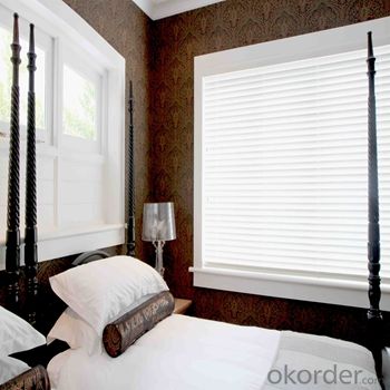 Roller Blinds and Solar Blind Waterproof Zebra Blind System 1