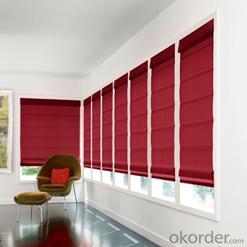 Roller Blinds and Solar Blind Motorized Waterproof Zebra Blinds System 1