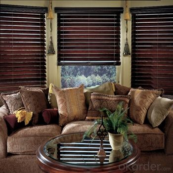 Roller Blind and Solar Blinds Motorized Waterproof Zebra Blinds System 1