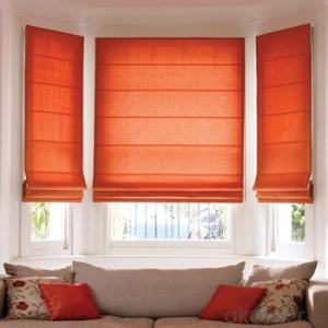 Zebra Roller Blind and Outdoor Blind with Automatic Device