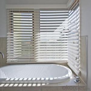 Zebra Roller Blinds and Outdoor Blind with Automatic Designs