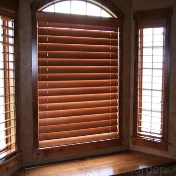 Roller Blinds and Solar Blinds Motorized Waterproof Zebra Blind System 1