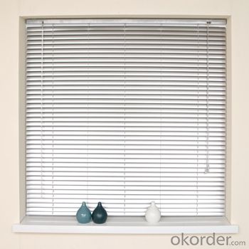 Roller Blind and Solar Blinds Electric Outdoor Blind System 1