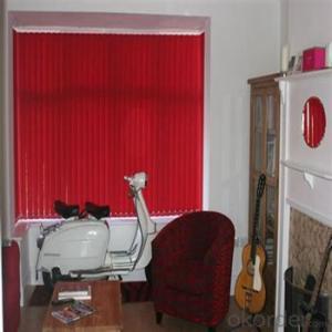 Roller Blinds and Outdoor Blind with Automatic Designs