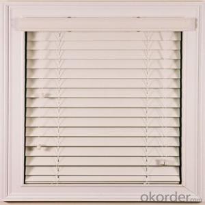 Zebra Roller Blind and Outdoor Blinds with Automatic Device
