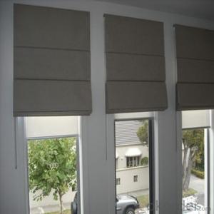 Zebra Roller Blind and Outdoor Blind with Automatic Devices System 1
