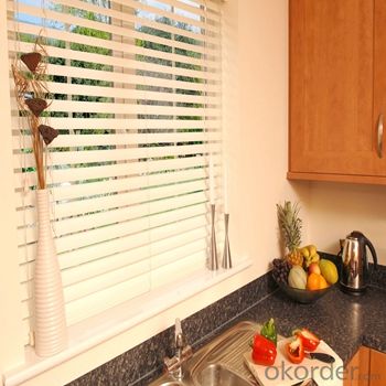 Roller Blind and Solar Blinds Motorized Windows Blind System 1