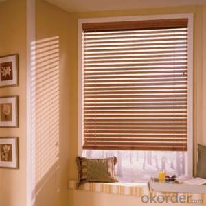 sunscreen vertical windows blind and shade System 1