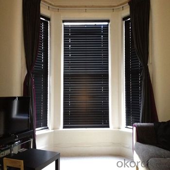 Roller Blinds and Solar Blinds Motorized Zebra Window Blinds System 1