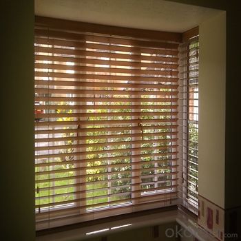 Zebra Roller Blind and Outdoor Blinds with Automatic Devices System 1