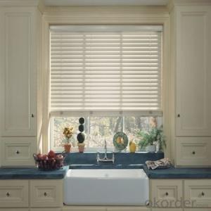 Roller Blind and Solar Blind Zebra Blinds with Automatic Designs System 1