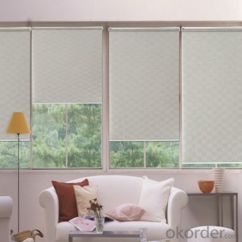 Roller Blinds and Solar Blinds Waterproof Zebra Blinds System 1