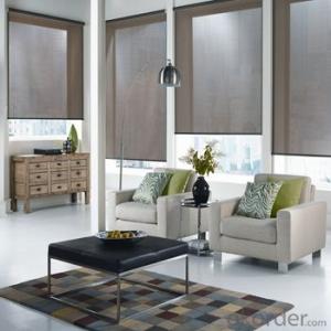 Zebra Roller Blinds and Outdoor Blinds with Automatic Designs