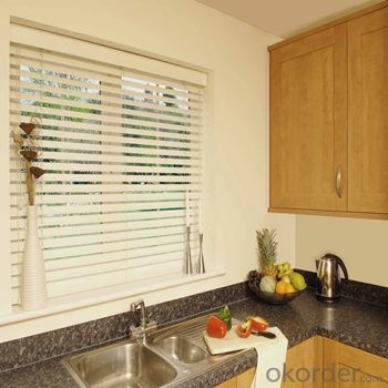 Zebra Roller Blinds and Solar Blinds Motorized Zebra Window Blind System 1