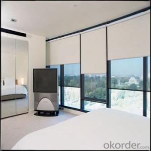 Roller Blinds and Outdoor Blinds with Automatic Devices