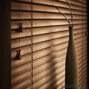 Roller Blinds and Solar Blind Zebra Blinds with Automatic Designs