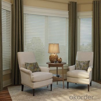 Zebra Roller Blinds and Solar Blinds Motorized Zebra Window Blinds System 1