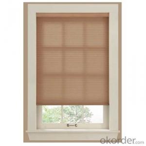 Roller Blind and Solar Blind Zebra Blind with Automatic Designs System 1