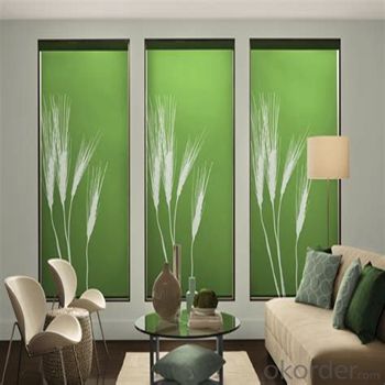 Zebra Roller Blinds and Solar Blind Electric Outdoor Blinds System 1