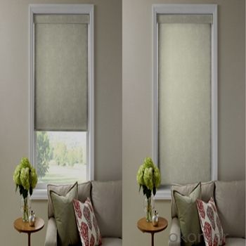 Zebra Roller Blind Vertical from Chinese Supplier System 1