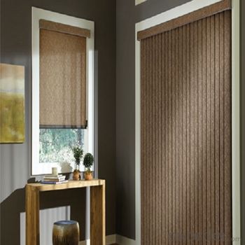 Zebra Roller Blinds and Solar Blind Electric Outdoor Blind System 1