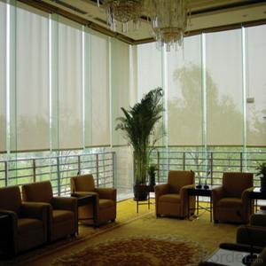 Clear PVC Outdoor Vertical Roller Blinds System 1