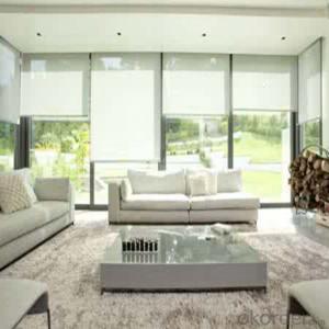 Outdoor Clear Venetian Patio Roller Blinds System 1