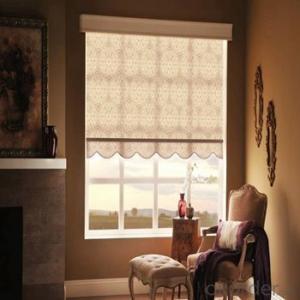 Zebra Roller Blind Designer Home Decors for The Living Room System 1