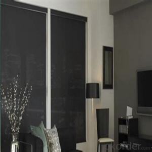 Zebra Roller Blind Designers Home Decor for The Living Room System 1