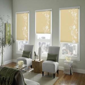 Zebra Roller Blind Window Home Decoration Night Vision System 1