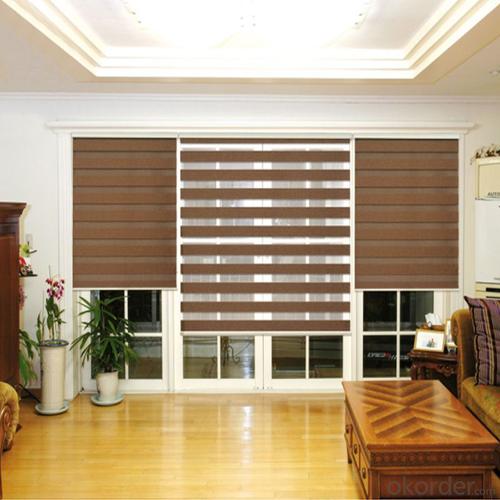 Roller Shades with High Quality and Competitive Price System 1