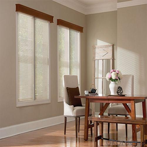 Spring PVC Transparent Vertical Blinds Chain System 1