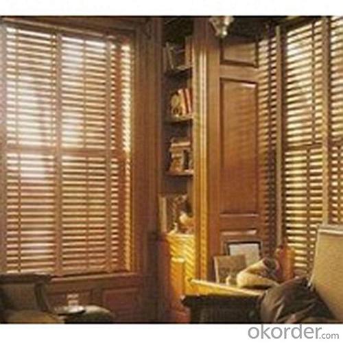 Auto Bamboo Roller Decorative Blinds Outdoor System 1