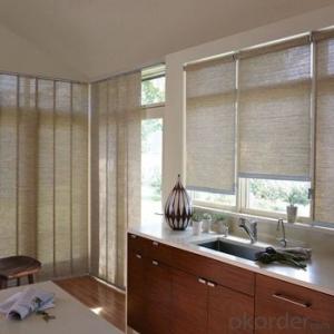 Roller Blinds Blackout One Way Vision with Electric Motors System 1