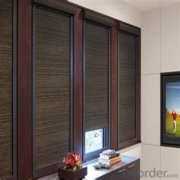 Zebra Roller Blind Blackout with Tubular Motor for Windows System 1